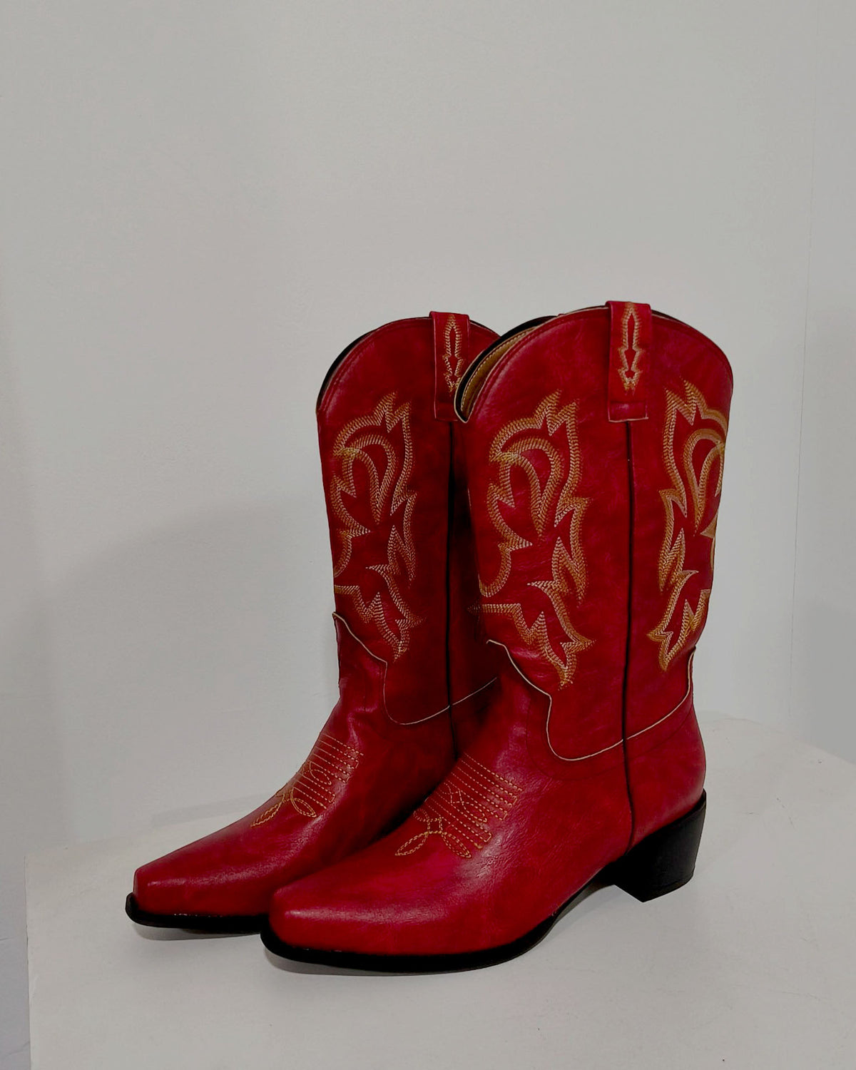 Bottes western à bout pointu et talon moyen brodées