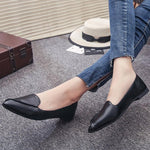 Plain Flat Point Toe Date Comfort Flats - Pavacat