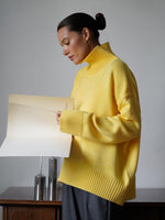 Cozy Solid color turtleneck knitted pullover loose sweater