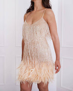 Fringed sequined Feather-paneled Gown Dress